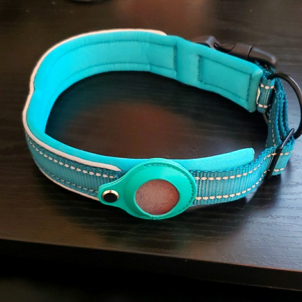 New XL airtag dog collar - teal